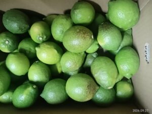 農薬不使用レモンについて